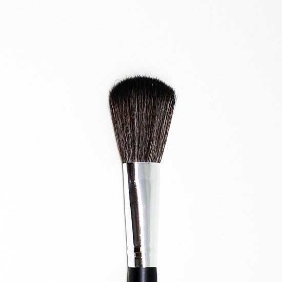 Cheek Brush #22